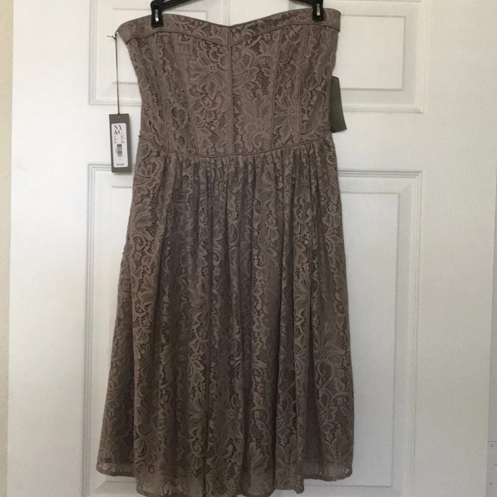 eva mendes for New York & Company Strapless Lace Midi Dress in Taupe Beige